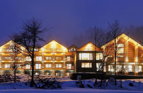 Black Forest Lodge - Photo 8