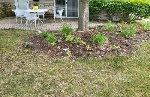 Awesome Manistee Pet Friendly - Foto 1