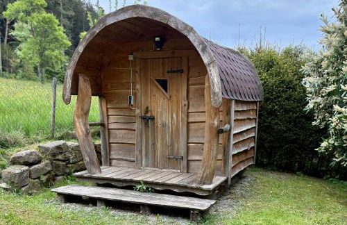 Holz-Ferienhaus Oberbrändi: Kachelofen, Sauna, WLAN, am Wald - Foto 59