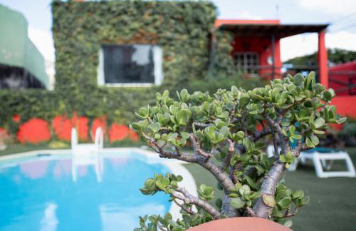 La Alpispa - Foto 25