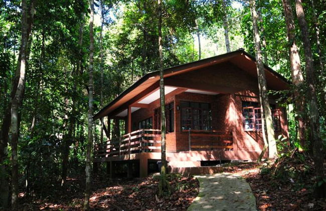 Permai Rainforest Resort - Foto 13