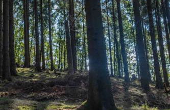 Märchenhafte FeWo White auf dem Berg im Sauerland - Foto 17