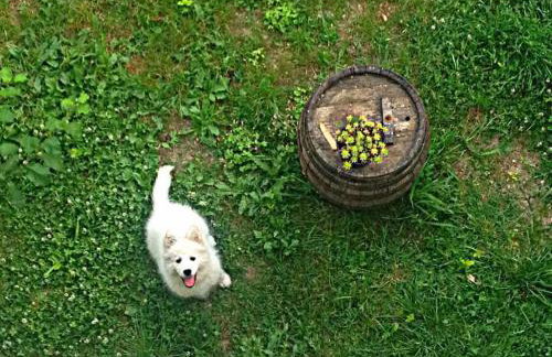 Apartment MARI - Photo 19