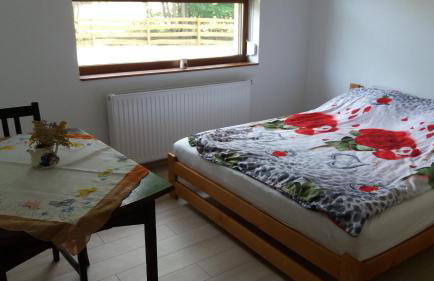 Dom Wakacyjny Kuszewo - Foto 12