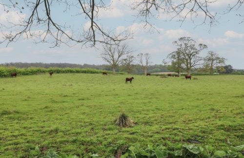 Old Mill House - Foto 30