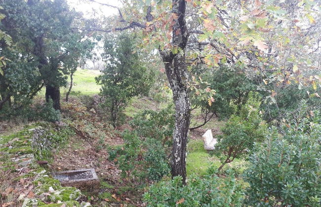 Sakura Vera - Foto 52