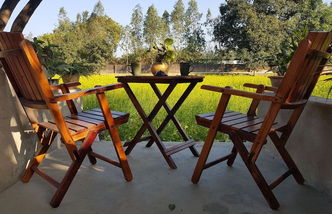 Koko's Farm - Foto 9