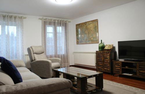 BURGOS CONTEMPLA Centro histórico. Frente al arco - Foto 9