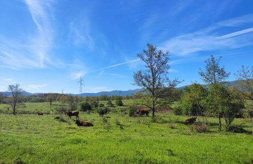 Velebit Lodge - Foto 29