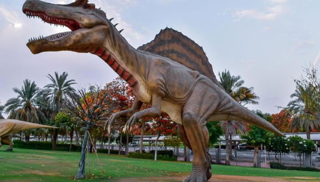 Découvrez Soho Square et Hollywood Park de nuit - Visite privée d'une demi-journée - Photo 5