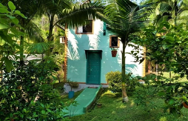 Sitio Libardo - Nova Trento - SC - Foto 21