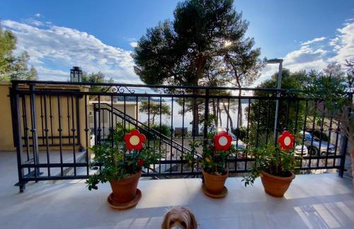 Apartments Atila - Foto 7