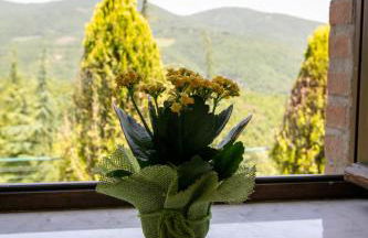 Casale Le Sette Vene - Photo 58