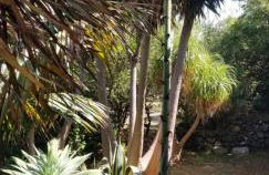 La Casita de la Vega - Foto 44