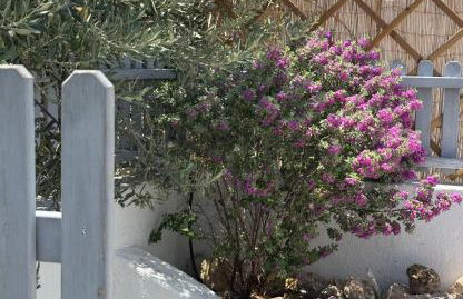 Giasemi Island House - Foto 12