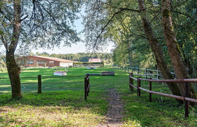 Blockhauser auf Reiterhof in Eschede - Foto 68