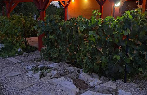 Propolis house - Foto 54