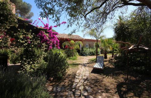 La Fattoria Delle Tartarughe - Foto 39