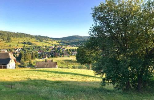 Echtes Schwarzwaldhaus - Traditionell & Modern - Foto 26