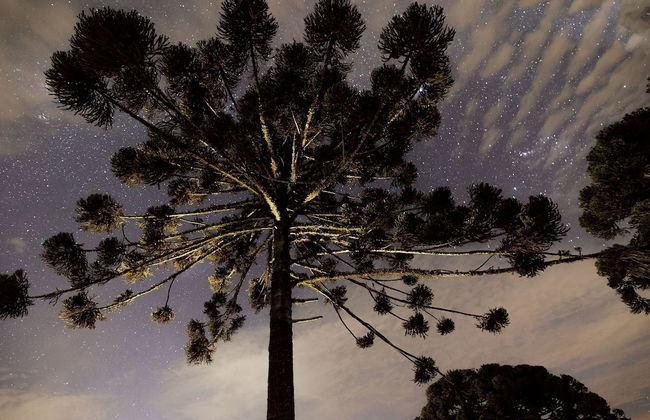 Reserva Cabanas - Foto 77