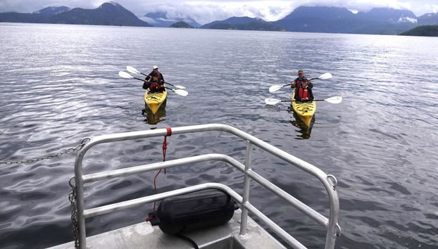 Full Day Kayaking with Whales Tour - Foto 3