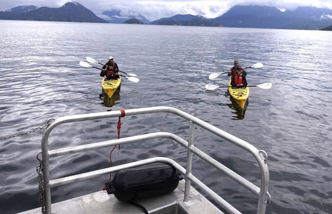 Full Day Kayaking with Whales Tour - Foto 3