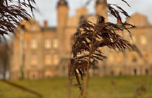 Hotel Am Schlosspark - Foto 12