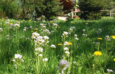 Domek u Piotra koło Szczyrku - Foto 11