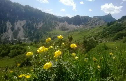 weitnaustyle - renoviert, modern, allergikerfreundlich - Photo 55