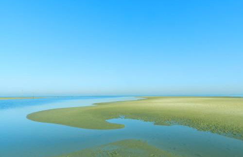 Fare Bambou - Foto 43