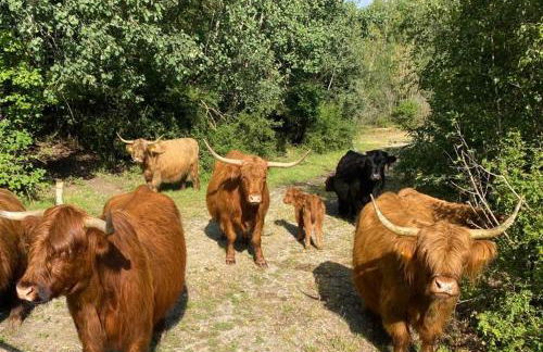 Ferienwohnung Birkenhof - Urlaub auf dem Bauernhof mit Blick ins Grüne - Foto 19
