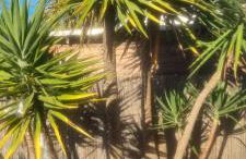 Maison de bord de mer ,Hyères, 3 chambres, jardin, calme - Foto 31