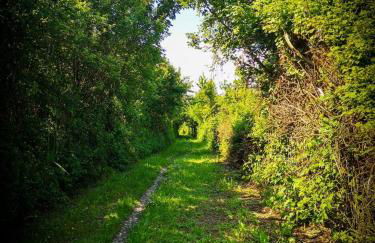 Mare&Terra... Alloggi nel Delta - Foto 34