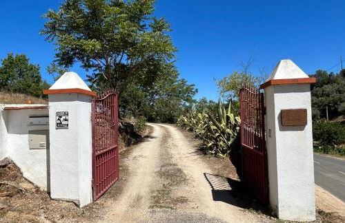 Casa do Reguengo (New!) - Foto 28