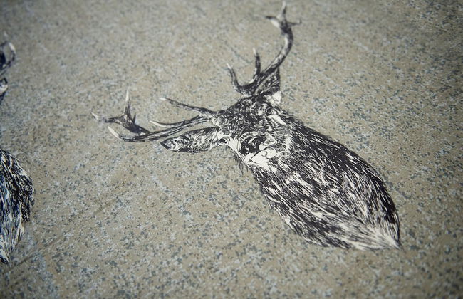 Unique 2 Bedroom Flat Kirrie Scotland - Foto 21