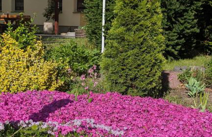 Pension zum Reiterhof, Fewo 2 - Foto 14