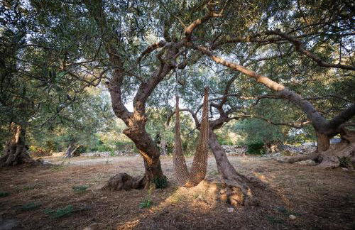 Olive Garden Villa Venetia - Foto 40