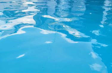 Chacara Rancho da Cris - Photo 29