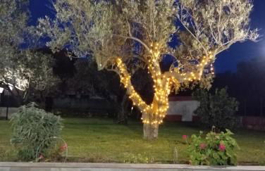 Casa torelli verde - Foto 12