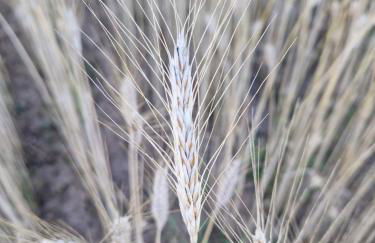 Casa Albañil - Foto 60