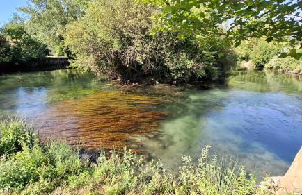 Maison au bord de l'eau - Photo 19