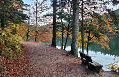 la Marcairie - Foto 38