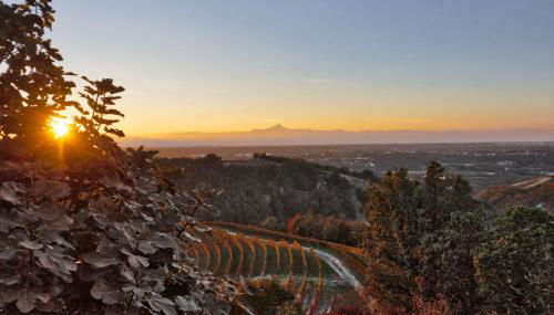 Splendido rustico nella Langa - Foto 1