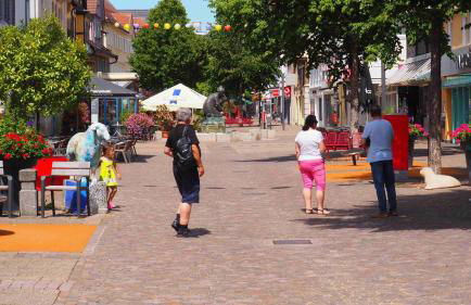 Ferienwohnung Pension Waldblick - Foto 61
