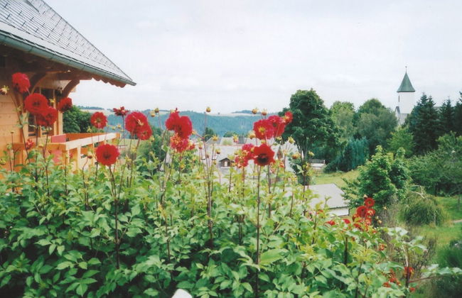Malerische Erdgeschosswohnung - Foto 43