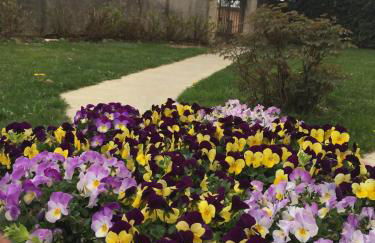 Agriturismo Villa Panigai - Foto 43