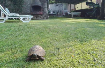 Corte Faliva - Foto 30