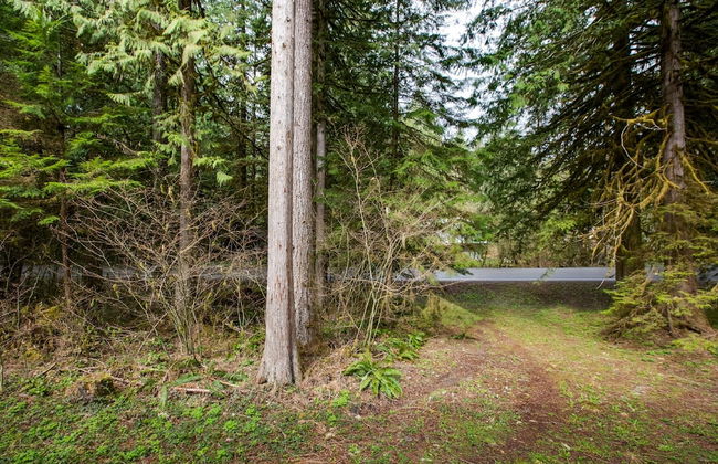 46SLL - Convenient - Economical - WiFi - Sleeps 2 - Foto 9