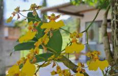 Village Sana Apart Hotel - Photo 44