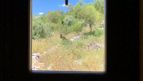 La casa de Tita Elvira 4 - Foto 4